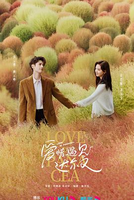 美梦成真2015